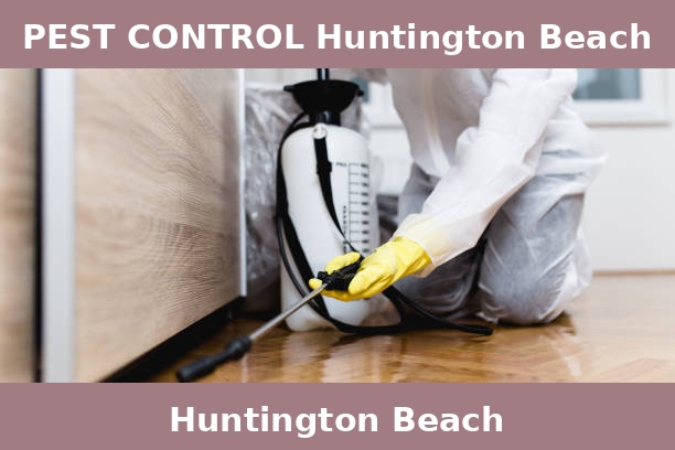 PEST CONTROL Huntington Beach